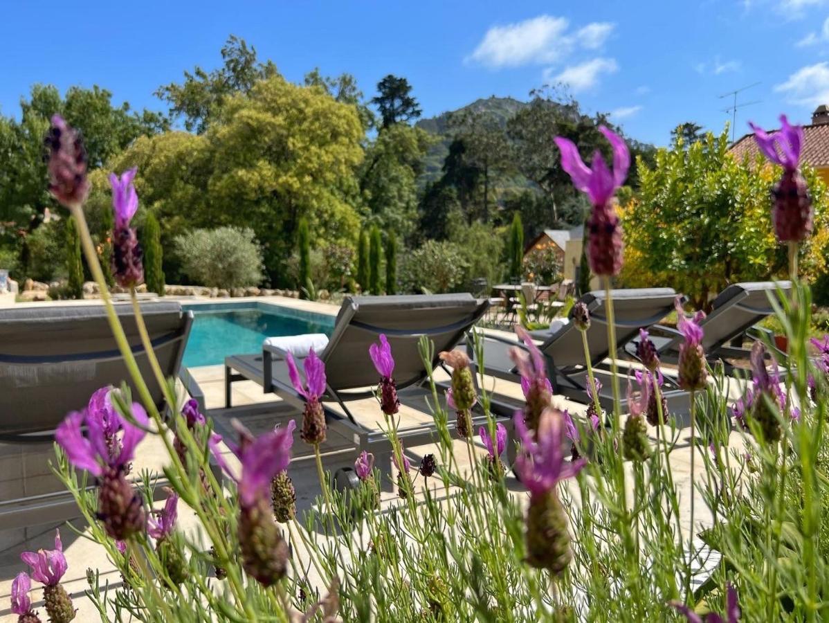 Vila A Capela - A Essencia De Sintra Exteriér fotografie
